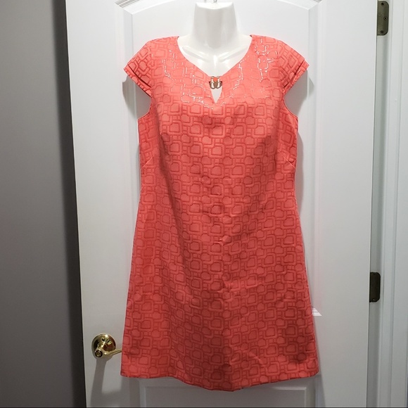 Tahari Dresses & Skirts - *SOLD* Tahari Arthur Levine Embossed Dress 10